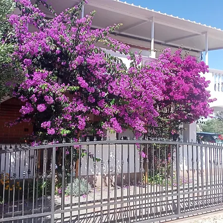Drage 17392a Apartment Pakoštane